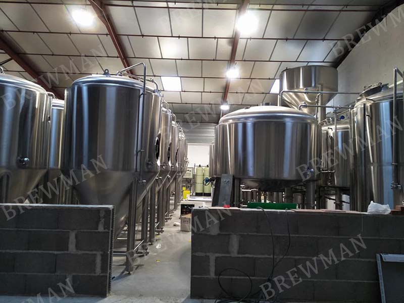 2000L/H Brewing Water Softner for Sale
