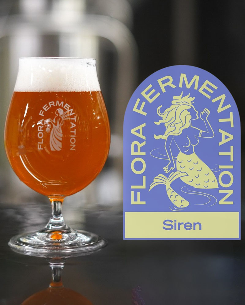beer for flora fermentation (6)
