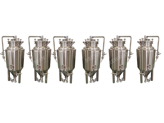 100l Stainless Steel Homebrew Conical Fermenter Unitank 