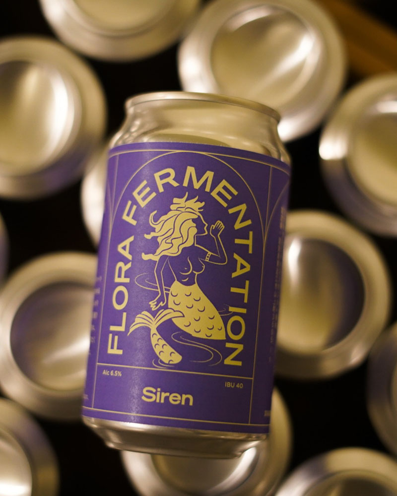 beer for flora fermentation (7)