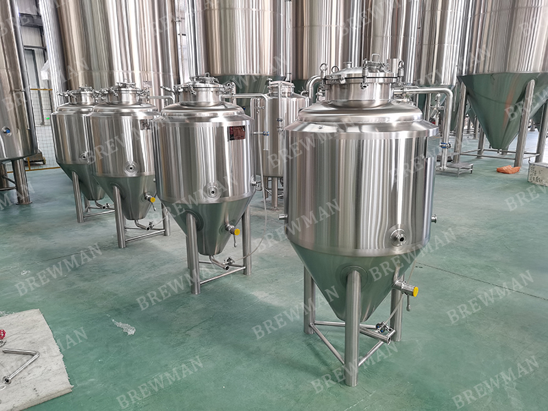 200L small brewery (6)