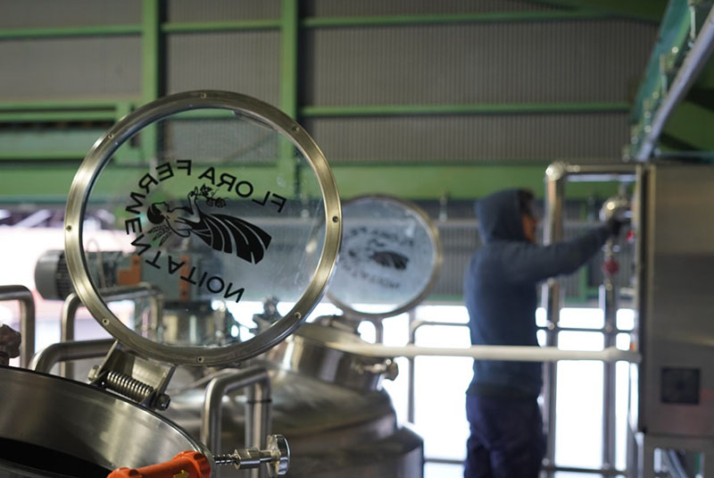beer for flora fermentation (8)